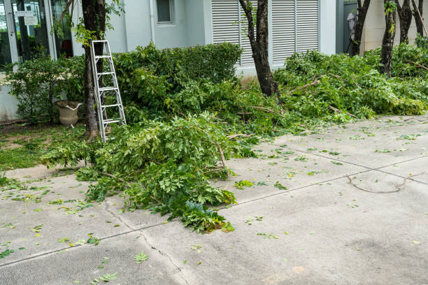Best Lawn Watering Services  in Franklin, VA